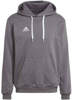 Adidas Performance Entrada 22 Sweat Hoodie