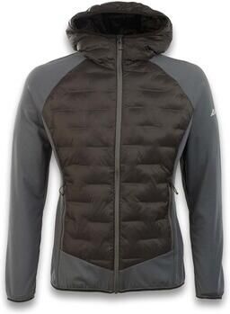 Ande Blazer Dru