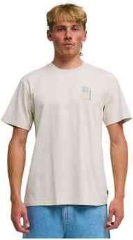 Billabong T-shirt Korte Mouw 077-53571408232787