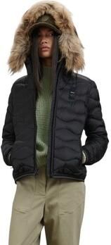 Blauer tel 26WBLDC03034