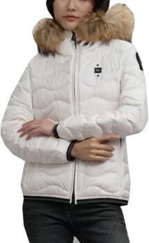 Blauer Parka Jas ALDIE