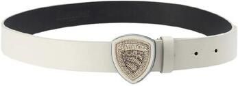 Blauer Riem
