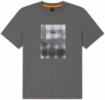 Boss T-shirt Korte Mouw Brokenice Graphic T-Shirt Grey