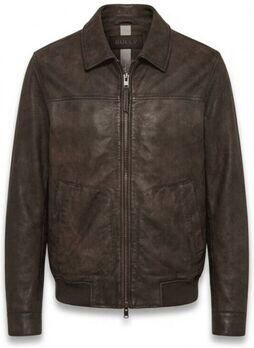 Bully Blazer 5658 ANT-AT01 MORO ANTICATO