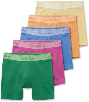 Calvin Klein Jeans Boxers BOXER BRIEF 5PK LV00NB4551
