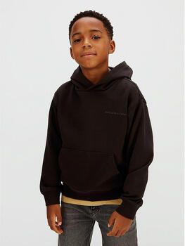 Calvin Klein Jeans Capuchon sweaters IB0IB02618
