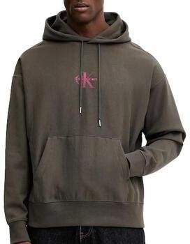 Calvin Klein Jeans Capuchon sweaters Premiums