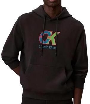 Calvin Klein Jeans Capuchon sweaters Terrys