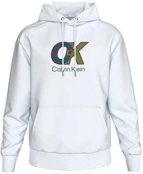 Calvin Klein Jeans Capuchon sweaters Terrys