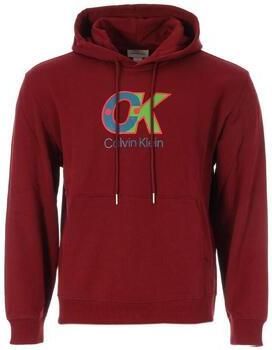 Calvin Klein Jeans Capuchon sweaters Terrys