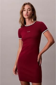 Calvin Klein Jeans Korte Jurk SS COLOR BLOCK COTTON RI