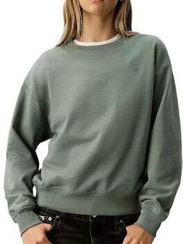 CALVIN KLEIN Dames Truien & Vesten Ls Archive Logo French Terry Rlx Mint - Foto 5