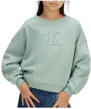 Calvin Klein Jeans Sweater LVCKSJB26G PCY
