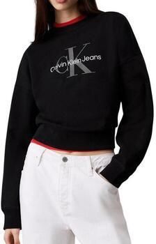 Calvin Klein Jeans Sweater LS MONOLOGO FRENCH T LV047B234G - Foto 12
