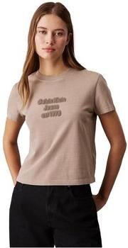 Calvin Klein Jeans T-shirt Korte Mouw WASHED PUFF PRINT J20J224988 - Foto 2