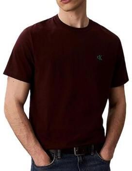 Calvin Klein Jeans T-shirt Korte Mouw Easy LV04RC275G
