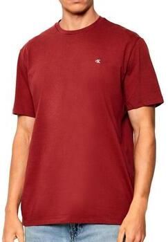 Calvin Klein Jeans T-shirt Korte Mouw