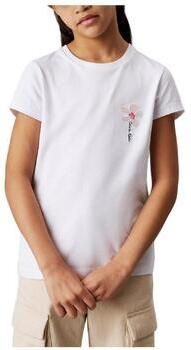 Calvin Klein Jeans T-shirt Korte Mouw IG0IG02953YAF