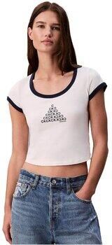Calvin Klein Jeans T-shirt Korte Mouw LV047C258G