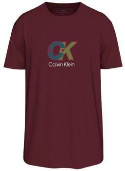 Calvin Klein Jeans T-shirt Korte Mouw LV04RD821G