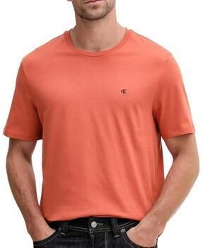 Calvin Klein Jeans T-shirt Korte Mouw Smooth