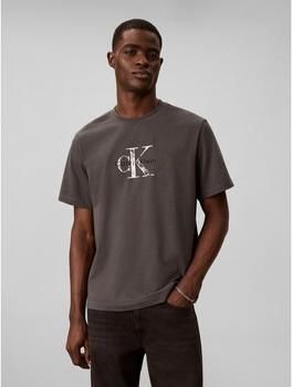 Calvin Klein Jeans T-shirt Korte Mouw Ss 20S Ez Distressd
