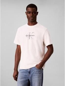 Calvin Klein Jeans T-shirt Korte Mouw Ss 20S Ez Distressd