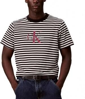 Calvin Klein Jeans T-shirt Korte Mouw SS 20S STRIPE JERSEY MON