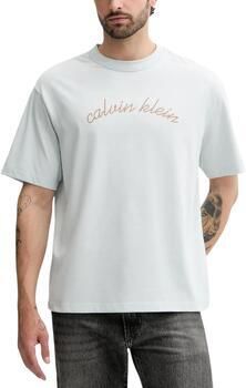 Calvin Klein Jeans T-shirt Korte Mouw SS CENTER CHAIN STIT LV04RC225G