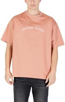 Calvin Klein Jeans T-shirt Korte Mouw SS CENTER CHAIN STIT LV04RC225G