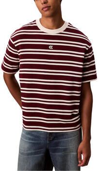 Calvin Klein Jeans T-shirt Korte Mouw SS HVYWT STRIPE JERS LV04RC235G