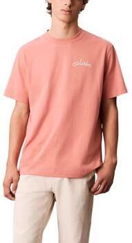 Calvin Klein Jeans T-shirt Korte Mouw SS LEFT CHEST CHAIN LV04RC226G