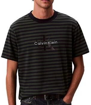 Calvin Klein Jeans T-shirt Korte Mouw Stripe