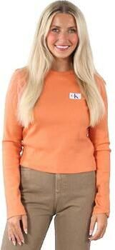Calvin Klein Jeans T-Shirt Lange Mouw T-shirt à manches longues Calvin Klein slim fit femme orange