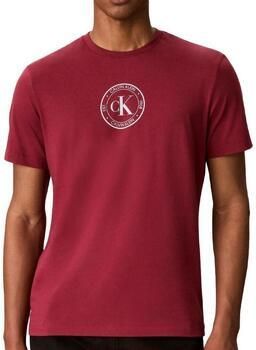 Calvin Klein Jeans T-shirt Ss 30s Eu Crest