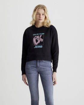 Calvin Klein Jeans Sweater J20J222344BEH
