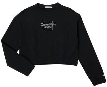 Calvin Klein Jeans Sweater METALLIC BOX LOGO SWEATSHIRT