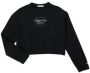 Calvin Klein Jeans Sweater METALLIC BOX LOGO SWEATSHIRT - Thumbnail 1