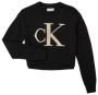Calvin Klein Jeans Sweater MONOGRAM SWEATER - Thumbnail 2