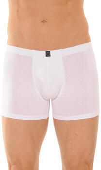 Cane Shorts BASTIA