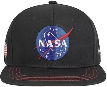 Capslab Pet Space Mission Nasa