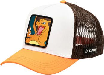 Capslab Pet X Pokemon Charizard Cap