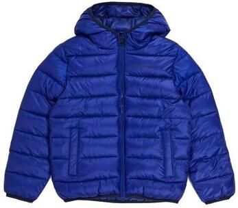 Champion Blazer 306568BS559