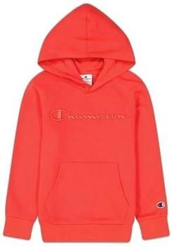 Champion Capuchon sweaters 218486RS036KOR