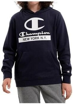 Champion Capuchon sweaters 306169BS501