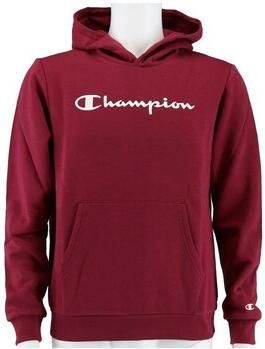 Champion Capuchon sweaters Big Logo Print