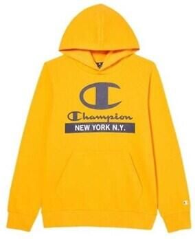 Champion Capuchon sweaters Hooded Sweatshirt