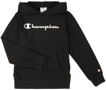 Champion Capuchon sweaters Hooded Sweatshirt