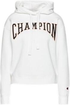 Champion Capuchon sweaters Hooded Sweatshirt