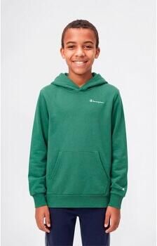 Champion Capuchon sweaters Hooded Sweatshirt